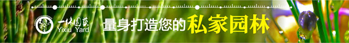 花园设计|阳台花园|上海景观设计|上海庭院设计